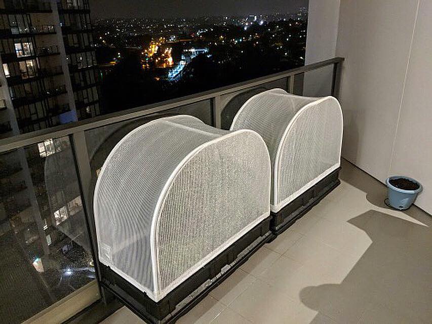 How the Vegepod Raised Garden Bed Is Perfect For Inner City Living