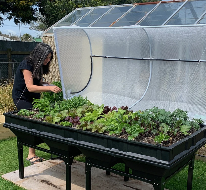 Pod-to-Plate: Michelle Yandle's Super Green Kale Smoothie