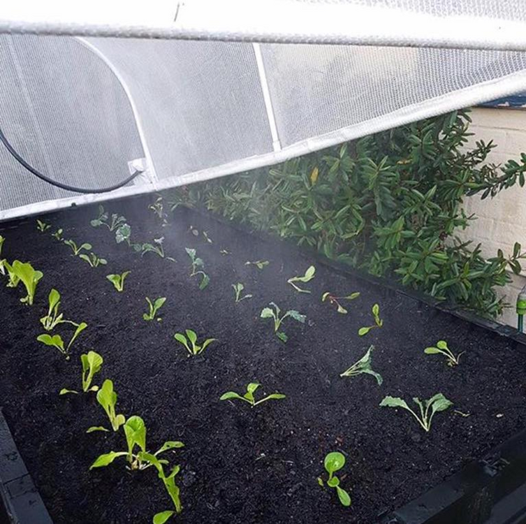 The Vegepod's Self-Watering, Wicking System Explained