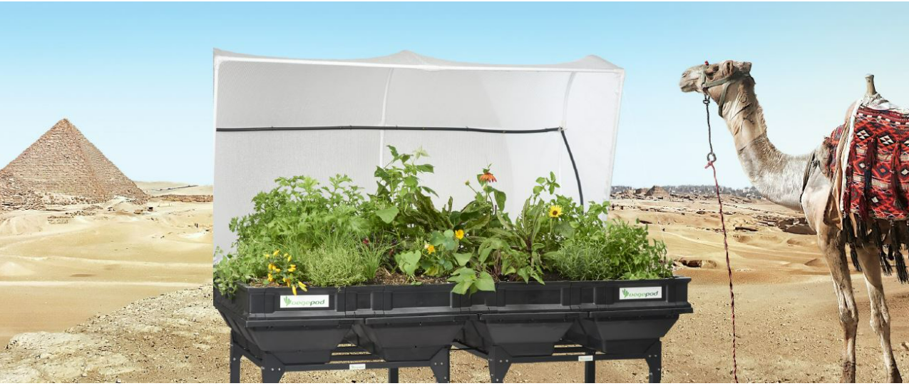 Welcome Vegepod Egypt!