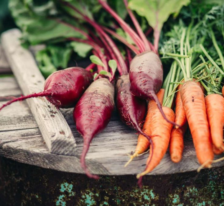 From Pod to Plate: Growing Your Dinner With Garden Vegetables