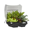 Raised Garden Beds
