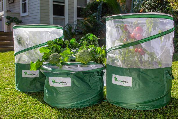 Three Vegebags showing vegetables